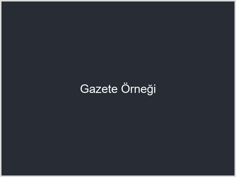 Gazete Örneği