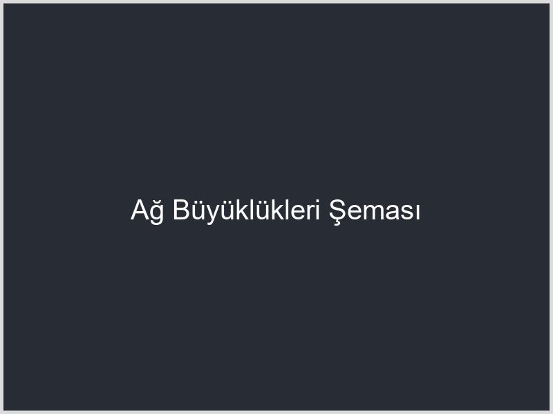 Ağ Büyüklükleri Şeması