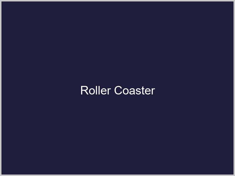 Roller Coaster